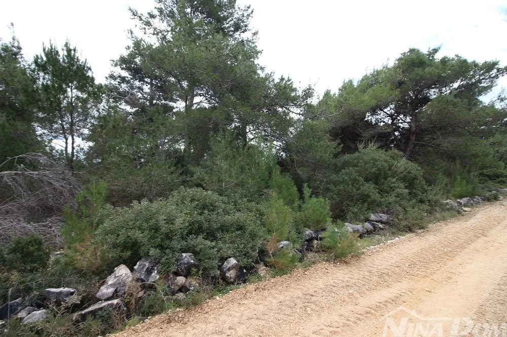 zemljište 2072 m2 uz javnu prometnicu t2 zona 35 €/m2 - slika 2