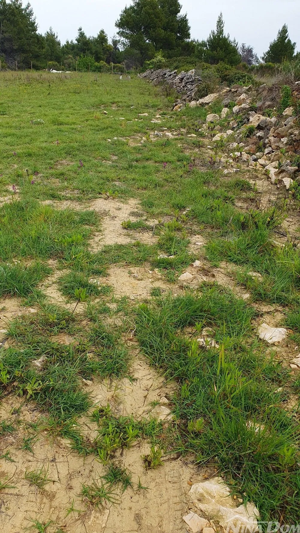 poljoprivredno zemljište, 899 m2 - slika 4