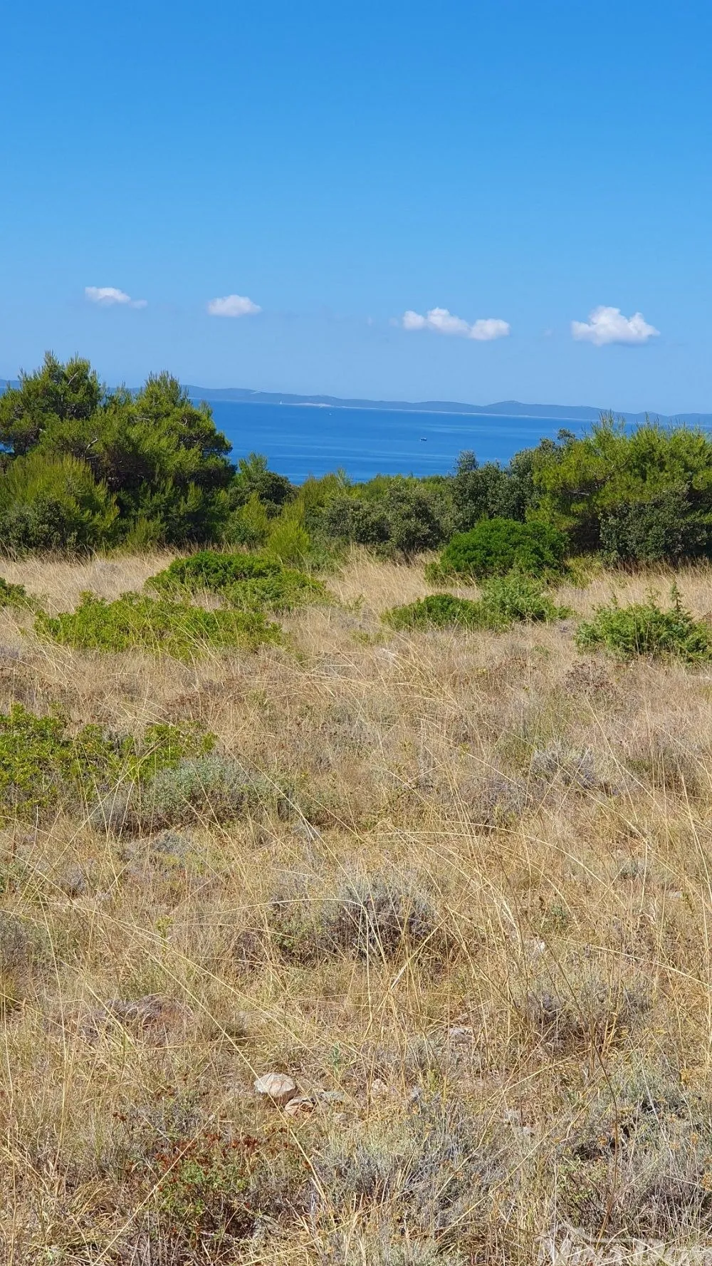 poljoprivredno zemljište 3409 m2, 12 € / m2 skalinice - slika 5