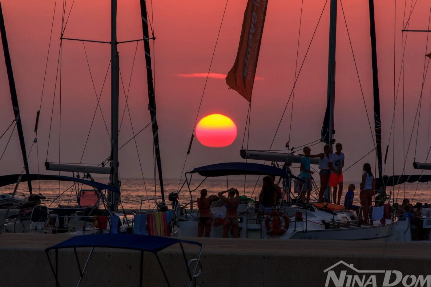 prvi red otok premuda rijetkost na tržištu - slika 5