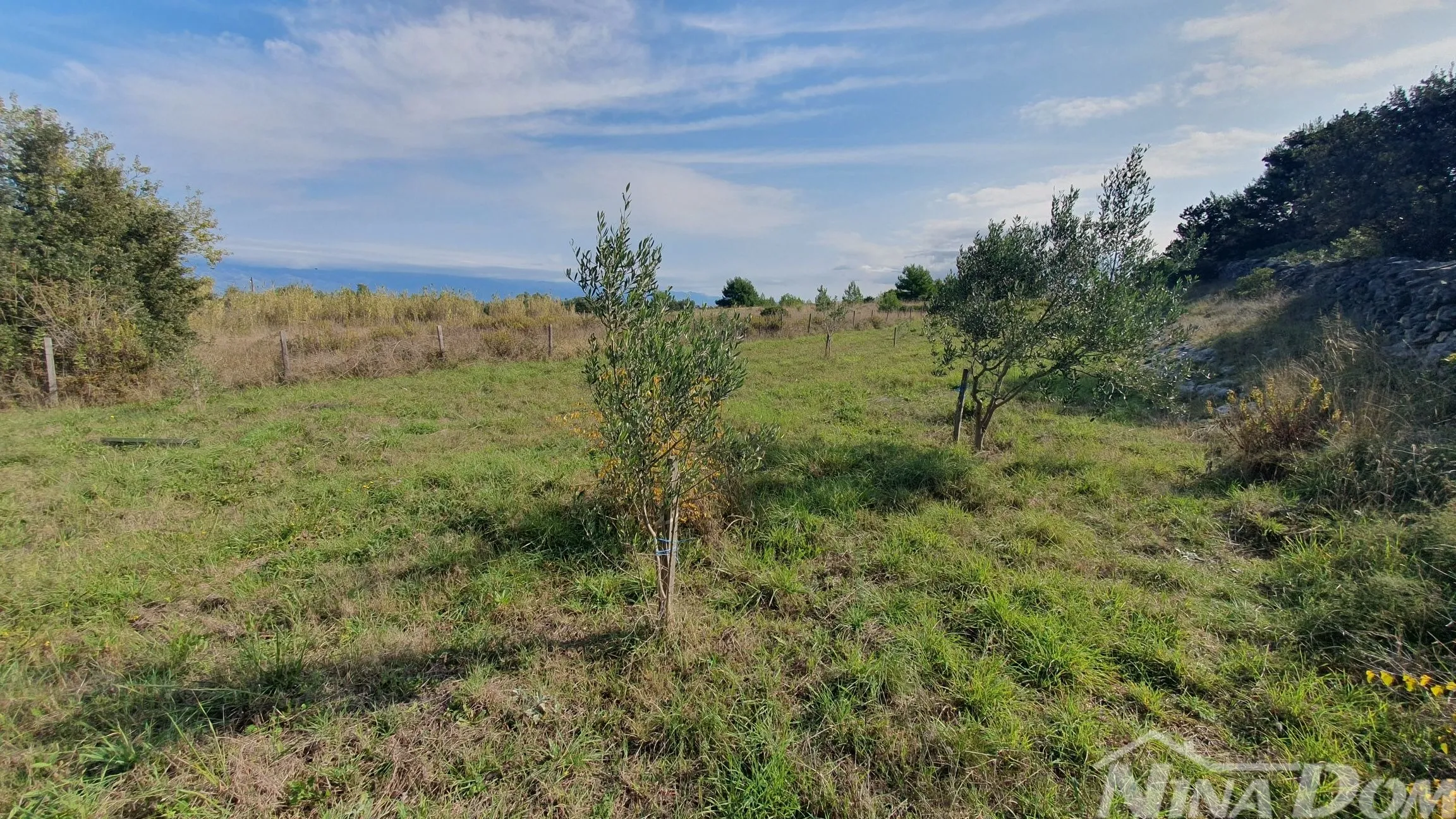 Poljoprivredno zemljište maslinik, bunar dubine 99 metara, ograđeno. - Vir, Vir