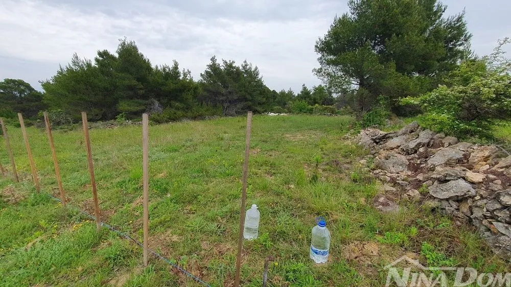 Poljoprivredno zemljište, 899 m2 - Vir, Vir