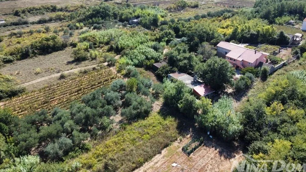 obiteljska nekretnina s lijepim maslinikom i vinogradom - slika 13