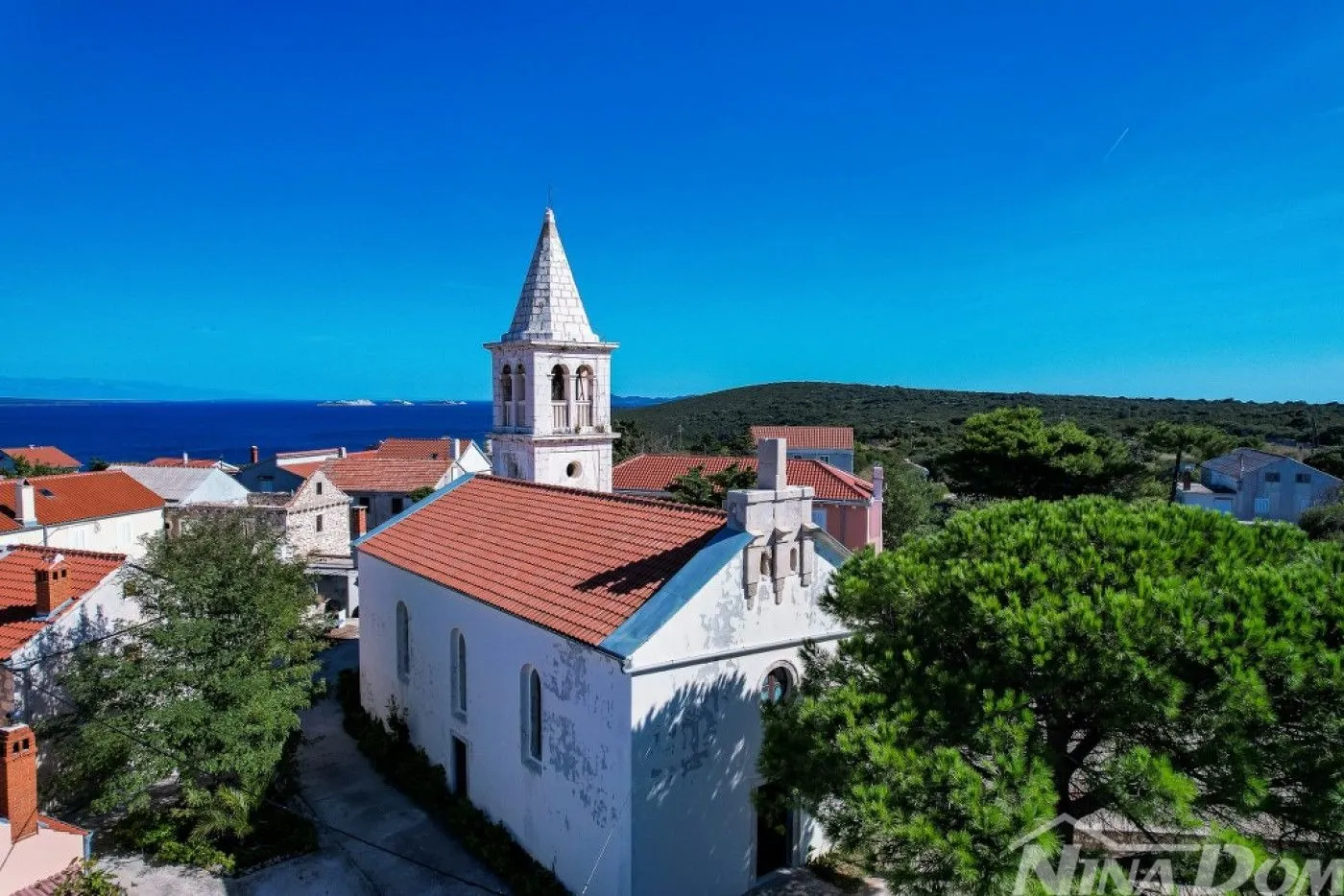 prvi red otok premuda rijetkost na tržištu - slika 3