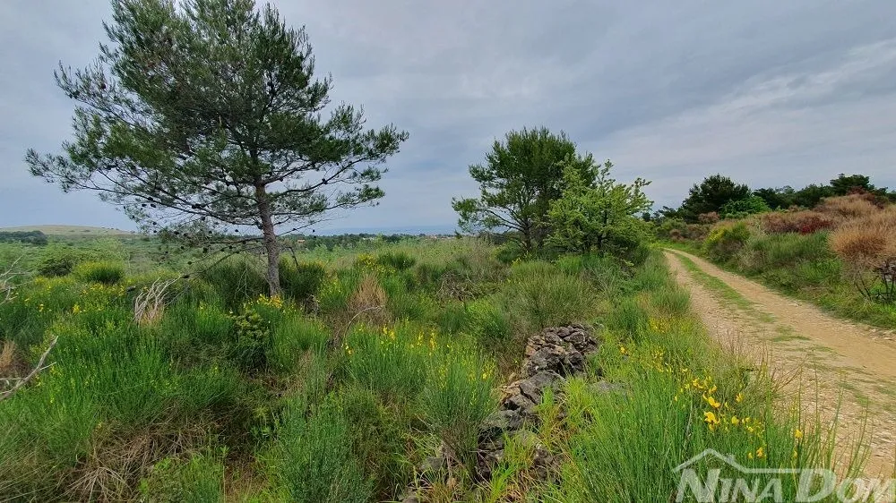 poljoprivredno zemljište, 899 m2 - slika 6