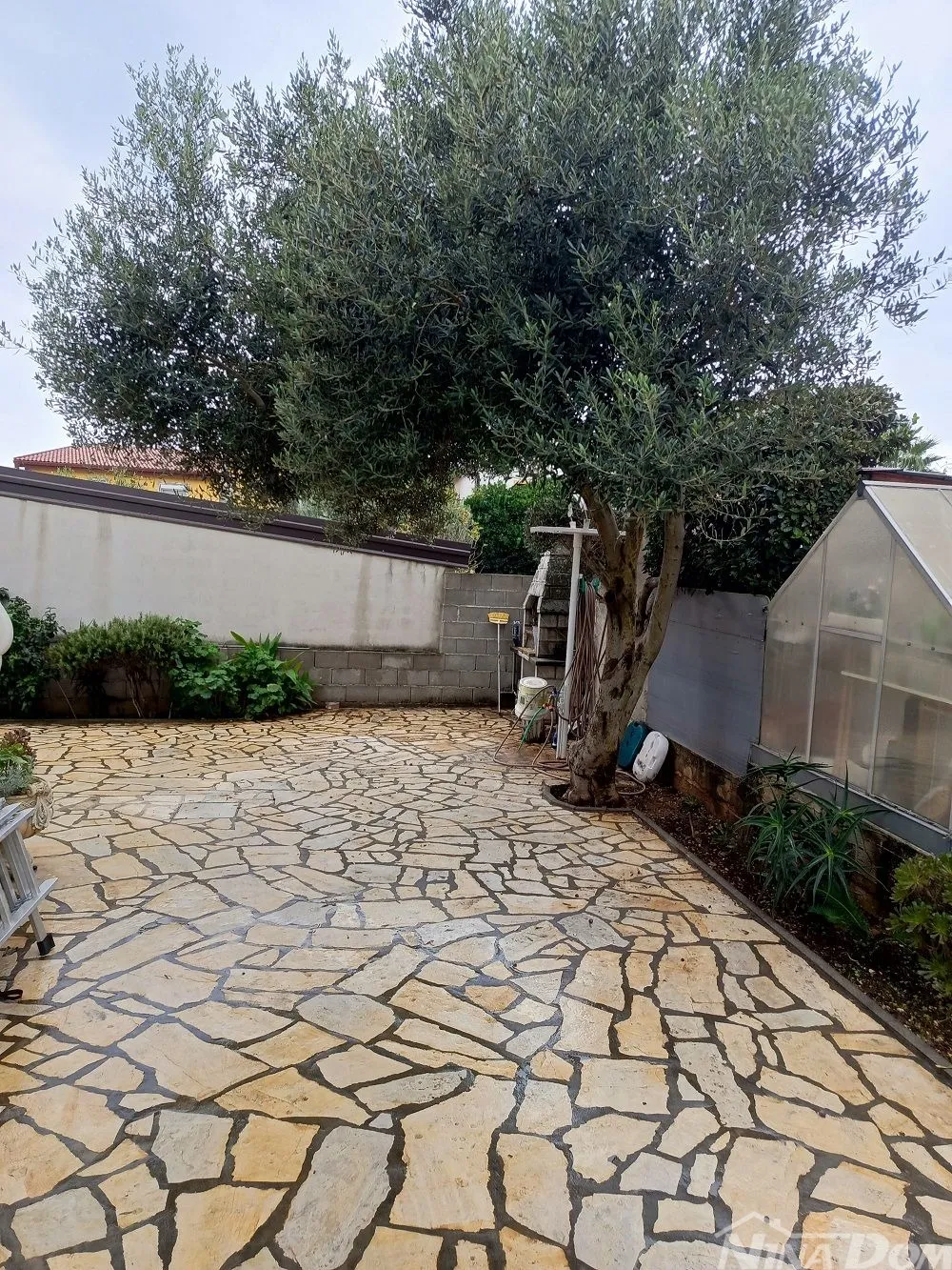 južna strana vira 50 metara do mora s tri apartmana - slika 4