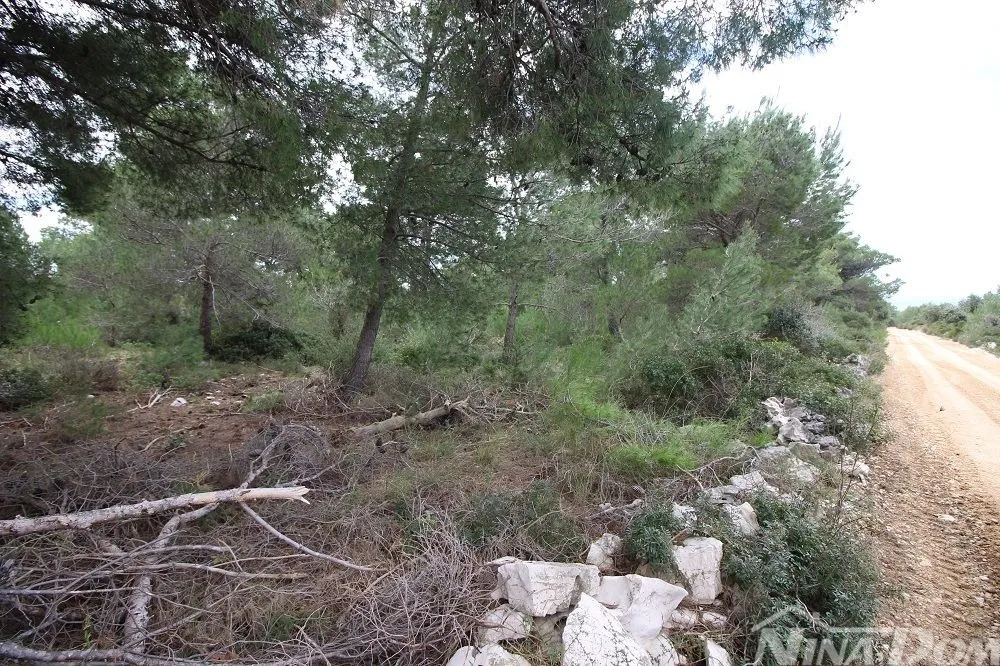 zemljište 2072 m2 uz javnu prometnicu t2 zona 35 €/m2 - slika 4