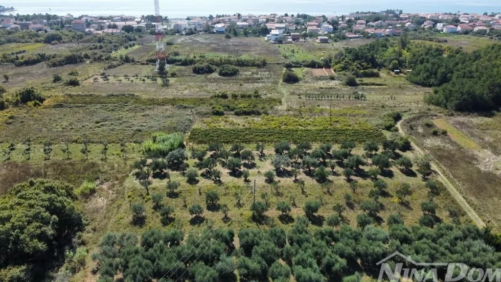 maslinik blizina centra privlaka - slika 8