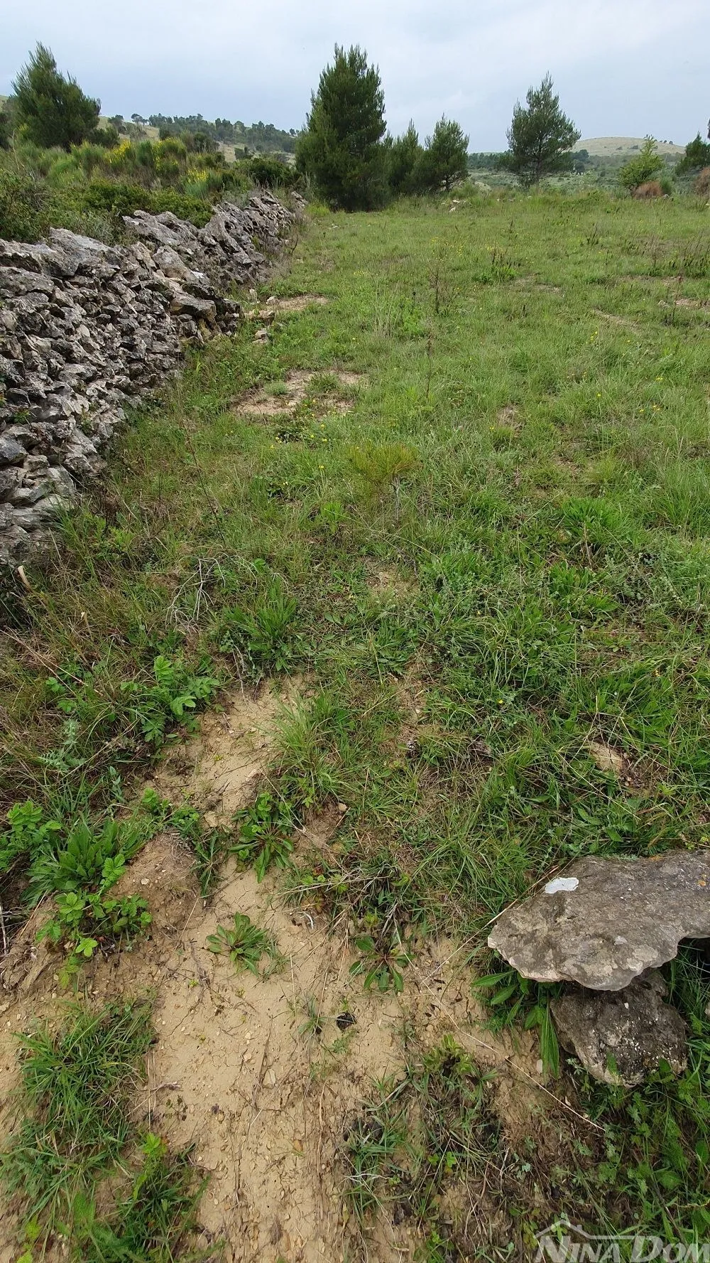 poljoprivredno zemljište, 899 m2 - slika 5