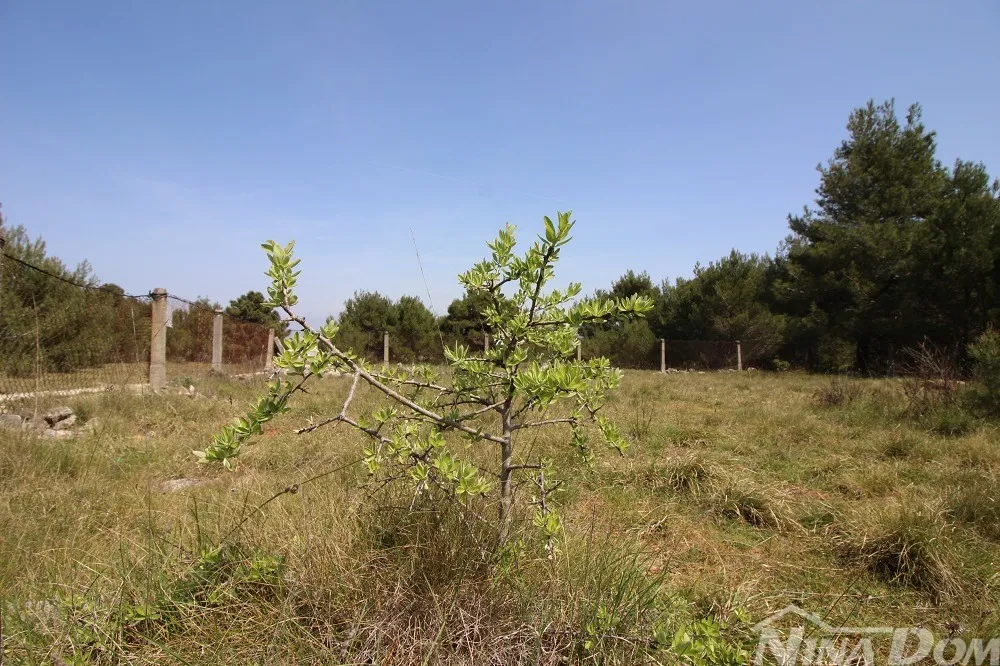 Poljoprivredno zemljište 541 m2 - Vir, Vir