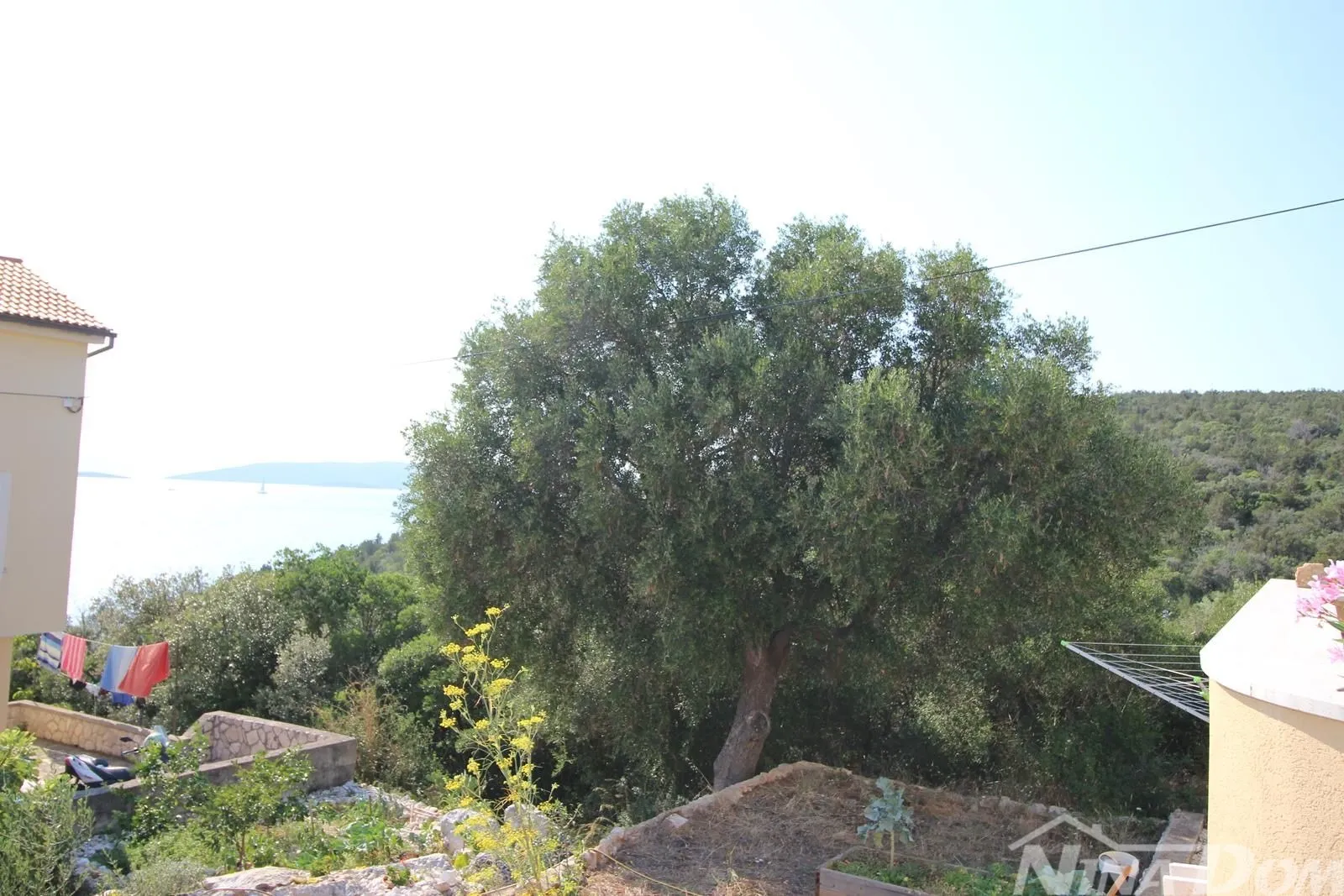 otok ugljan guduće drugi red od mora - slika 29