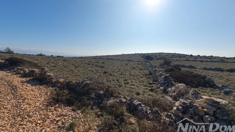 Poljoprivredno zemljište Barbenjak 12745 m2 - Vir, Vir
