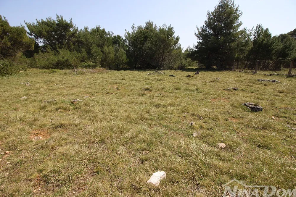 poljoprivredno zemljište 541 m2 - slika 3
