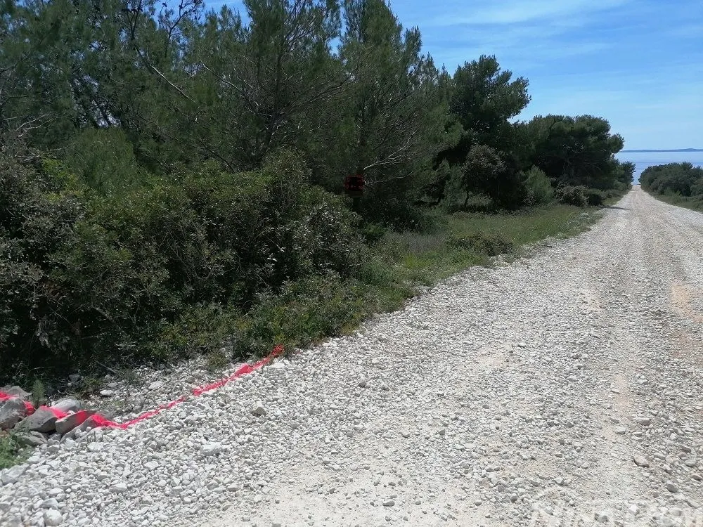 Poljoprivredno zemljište južna strana s pogledom na more. - Vir, Vir