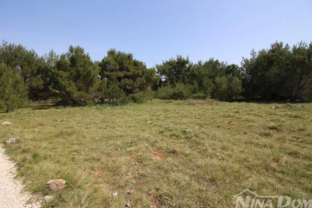 poljoprivredno zemljište 541 m2 - slika 5