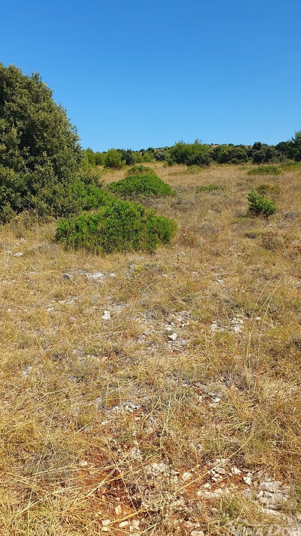 poljoprivredno zemljište 3409 m2, 12 € / m2 skalinice - slika 2