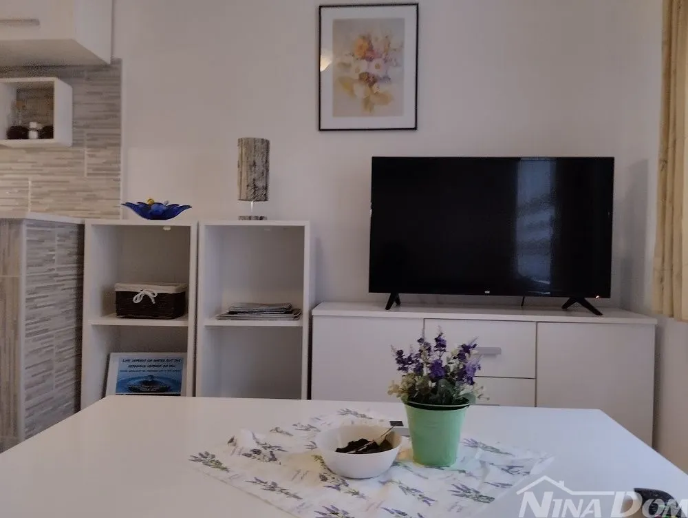 južna strana otoka vira, s dosta zelenila- - slika 17