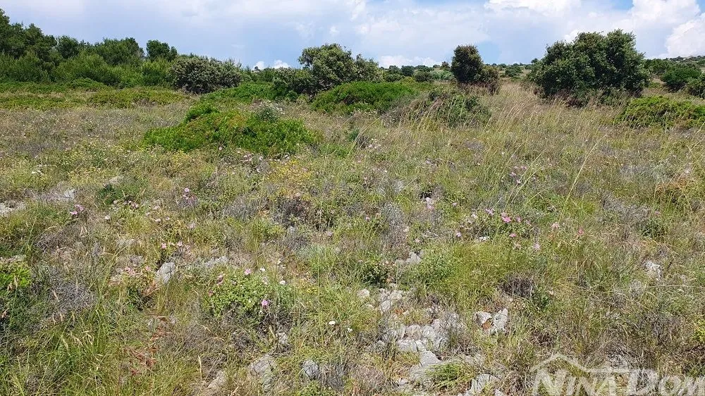 poljoprivredno zemljište 7168 m2, pristup s asfalta. pogled na more. - slika 3
