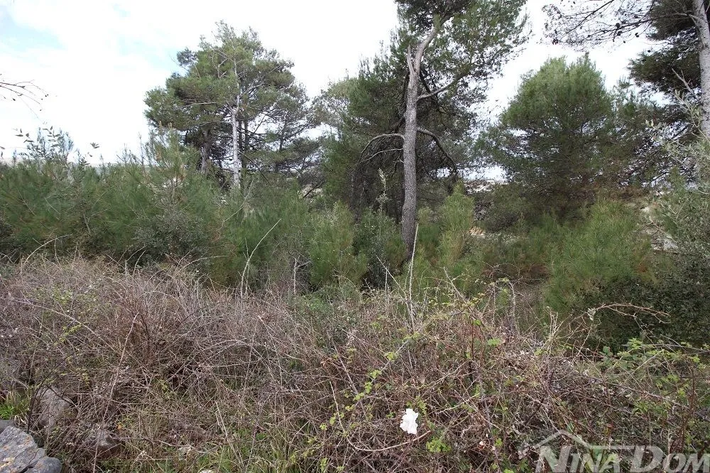 zemljište pod upu planom 80€/1m2. - slika 2
