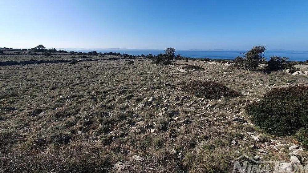 poljoprivredno zemljište barbenjak 12745 m2 - slika 2