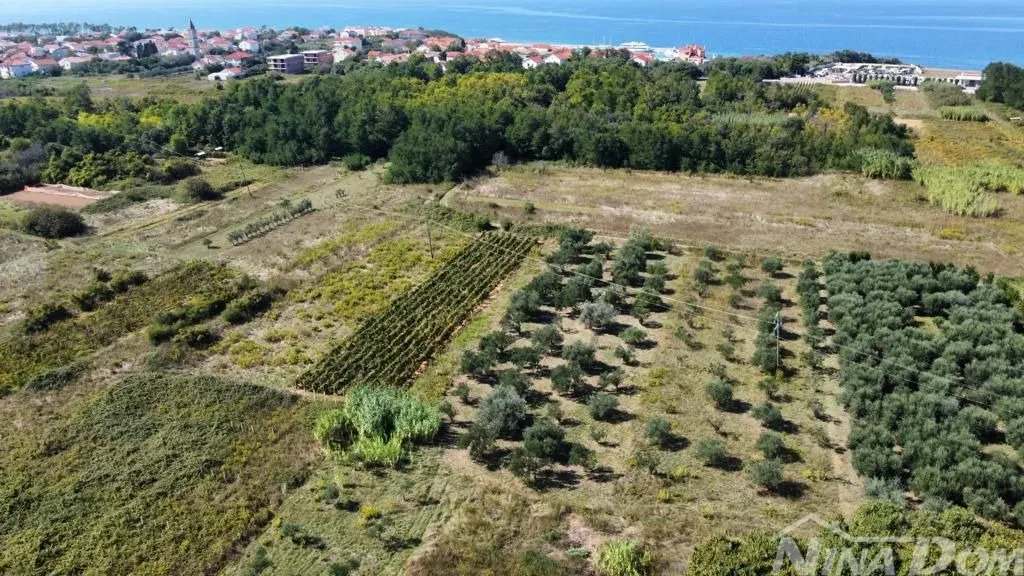 maslinik blizina centra privlaka - slika 4