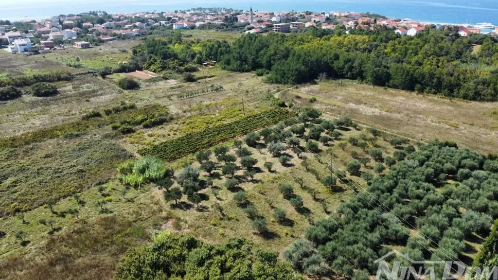 maslinik blizina centra privlaka - slika 6