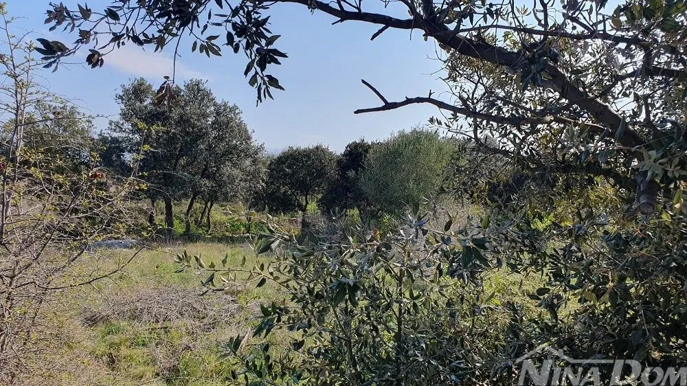Izgrađeni dio građevinske zone - Vir, Vir