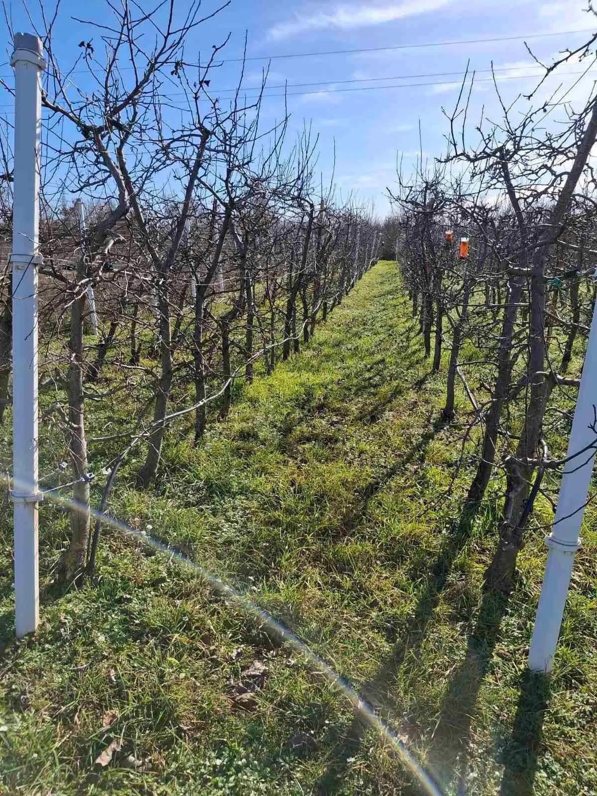 poreč-vikend kuća nedaleko poreča na prodaji (prodaja) - slika 8