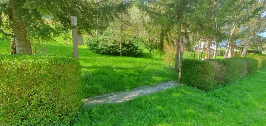 poljana sutlanska, drv. kućica i započ.gradnja kuće na imanju 11600m2 - slika 8