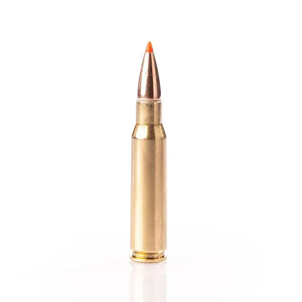 Karabinsko streljivo FIOCCHI 308 Win. EPN 11,7g / 180 gr - Poreč