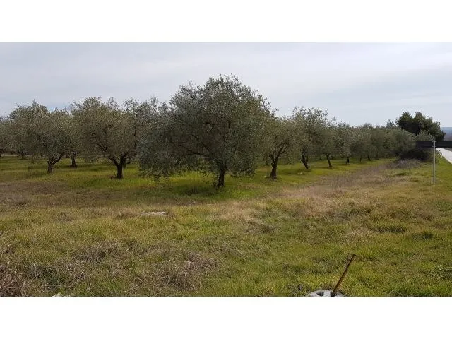 tar-građevinsko zemljište na prodaji pogled more - slika 5