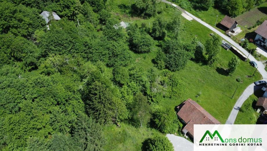 između kupice i lešničkog drgomlja - slika 2