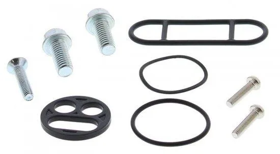 set za reparaciju pumpe goriva motocikla - slika 3