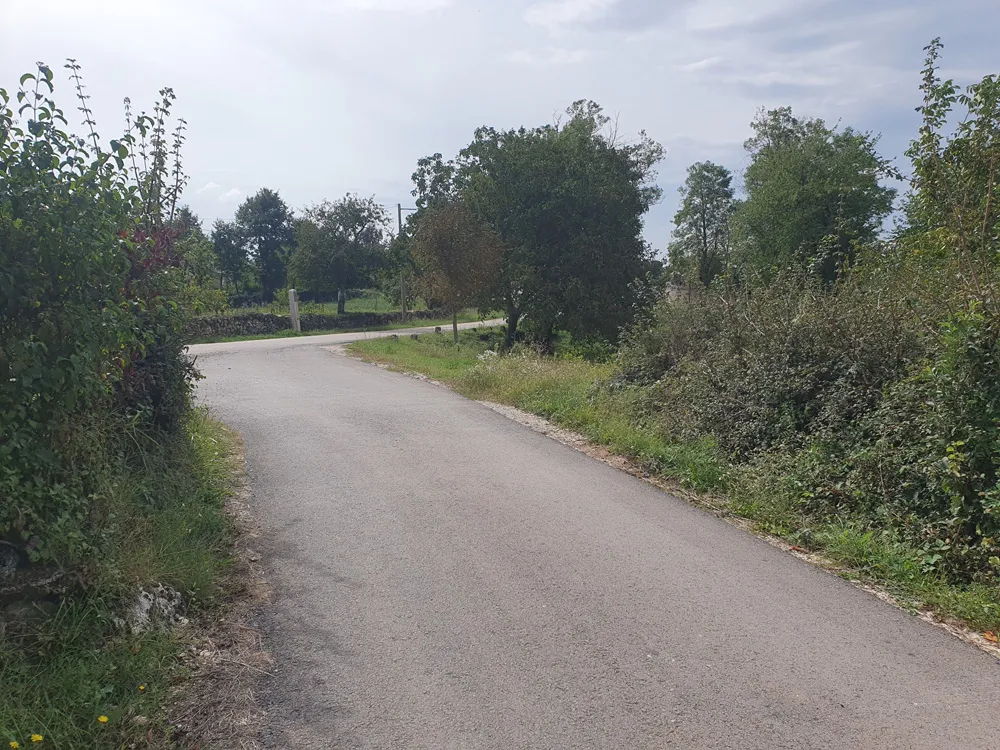 prodaja, građevinsko zemljište, sveti petar u šumi, 1522 m2 (z-661) - slika 13
