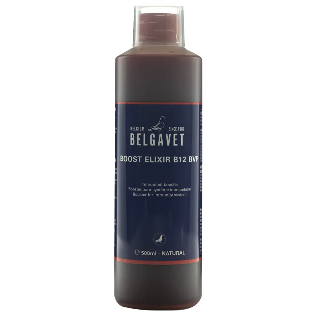 Belgavet BOOST ELIXIR B12 BVP – 500ml - Đakovo