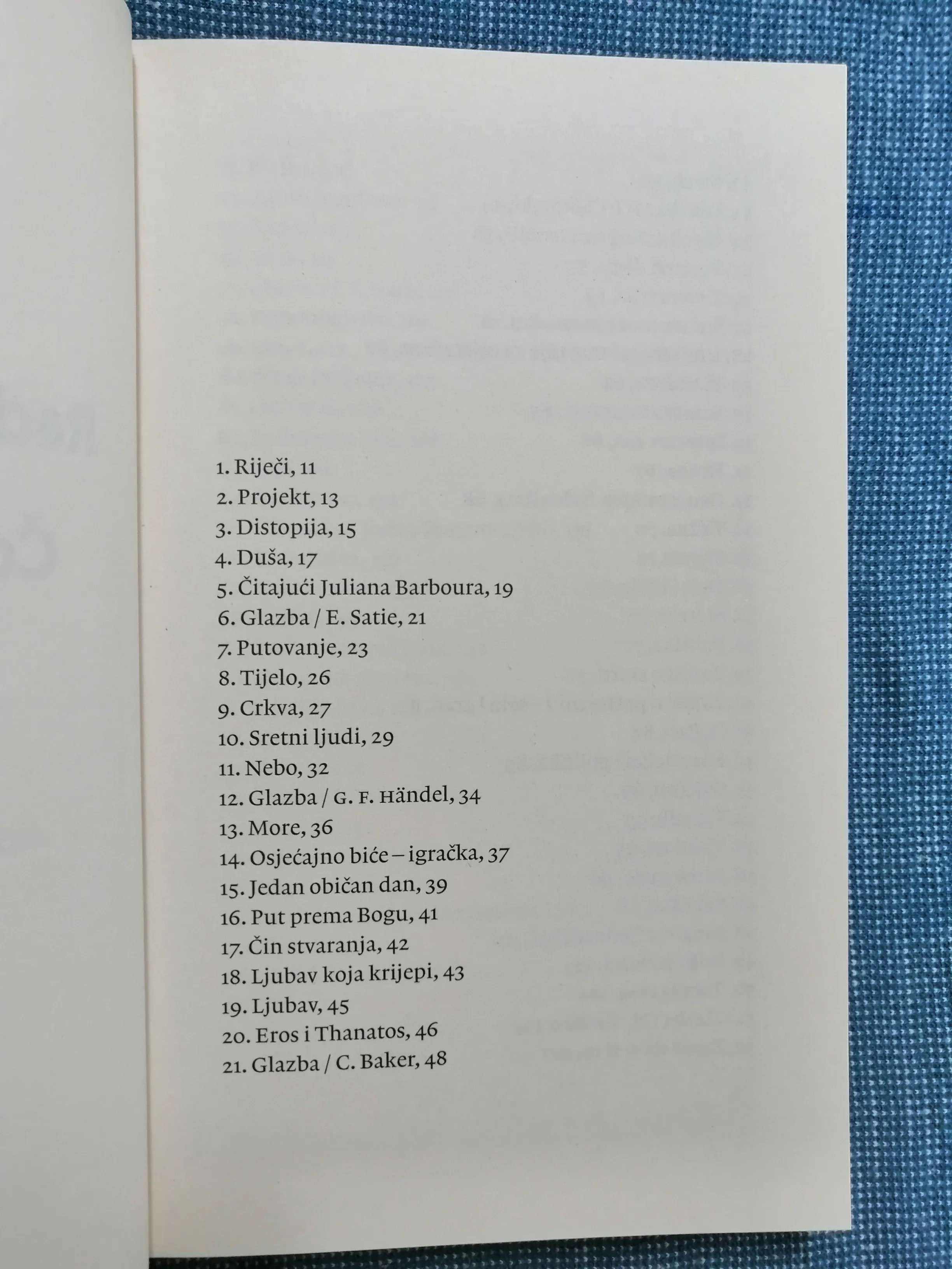 radenko vadanjel – čovjek igračka - slika 4