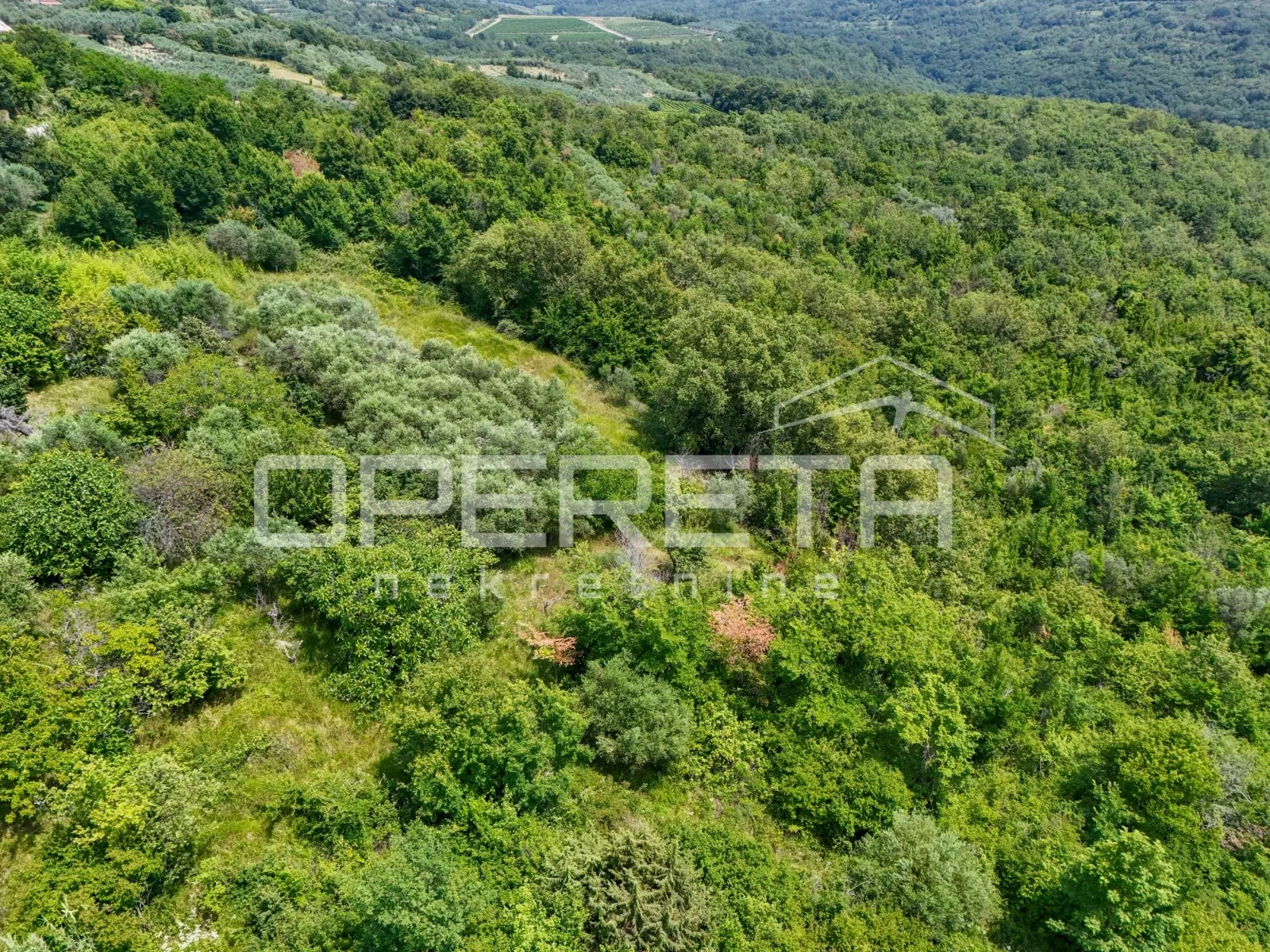 istra, buje okolica- građevinsko zemljište s otvorenim pogledom - slika 4