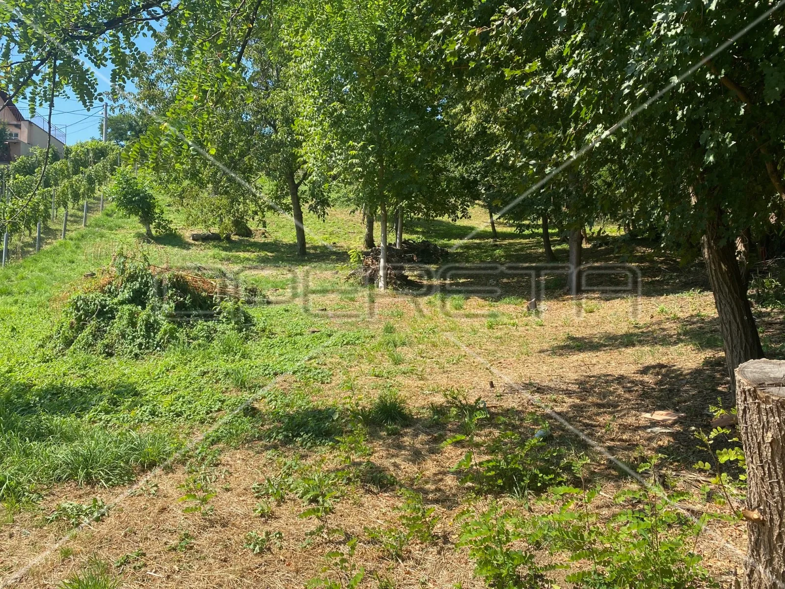 srednjak , vrapče, 1.852,00 m2, 259.000,00 eur - slika 6