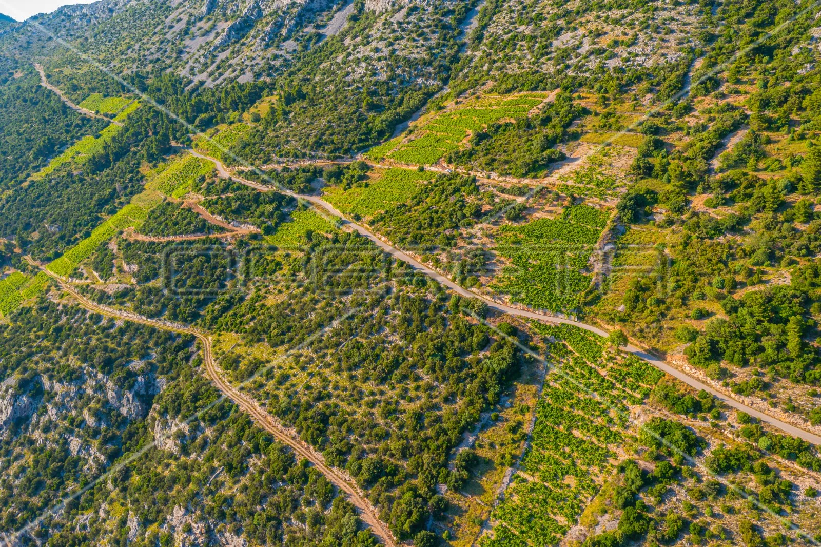 zemljište, 12.257 m2, dingač, pelješac, 40 eur/m2 - slika 7