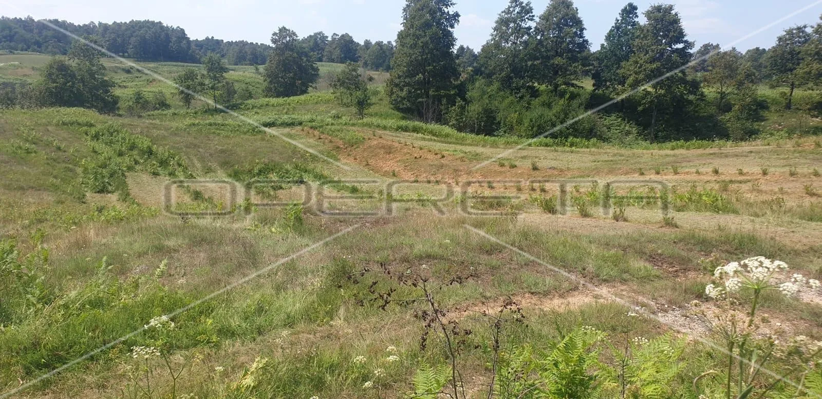 krnjak, krnjak, 320.942,00 m2, 965.512,00 eur - slika 7