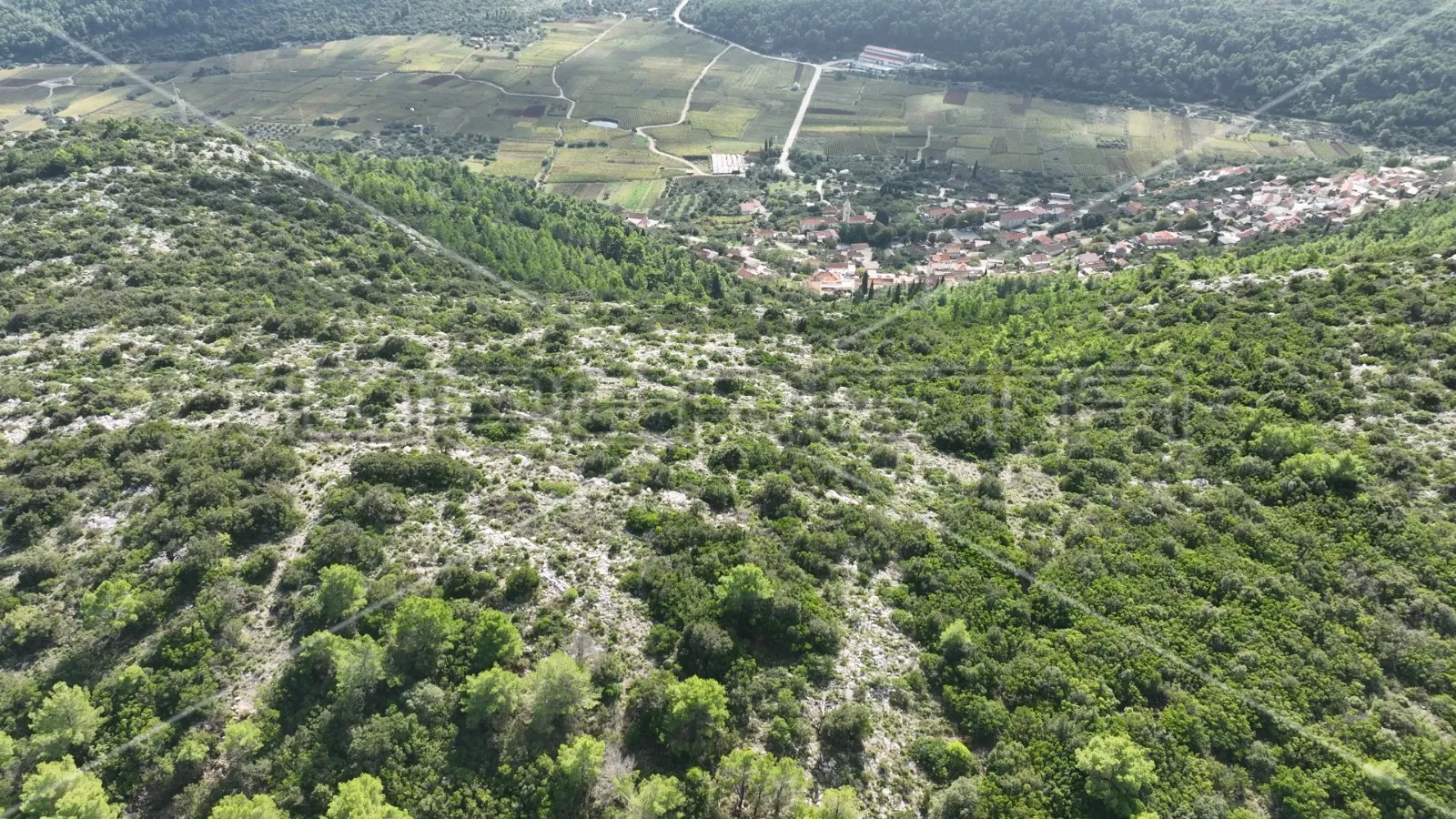 zemljište 51.000 m2 s pogledom na more, čara, korčula - slika 10