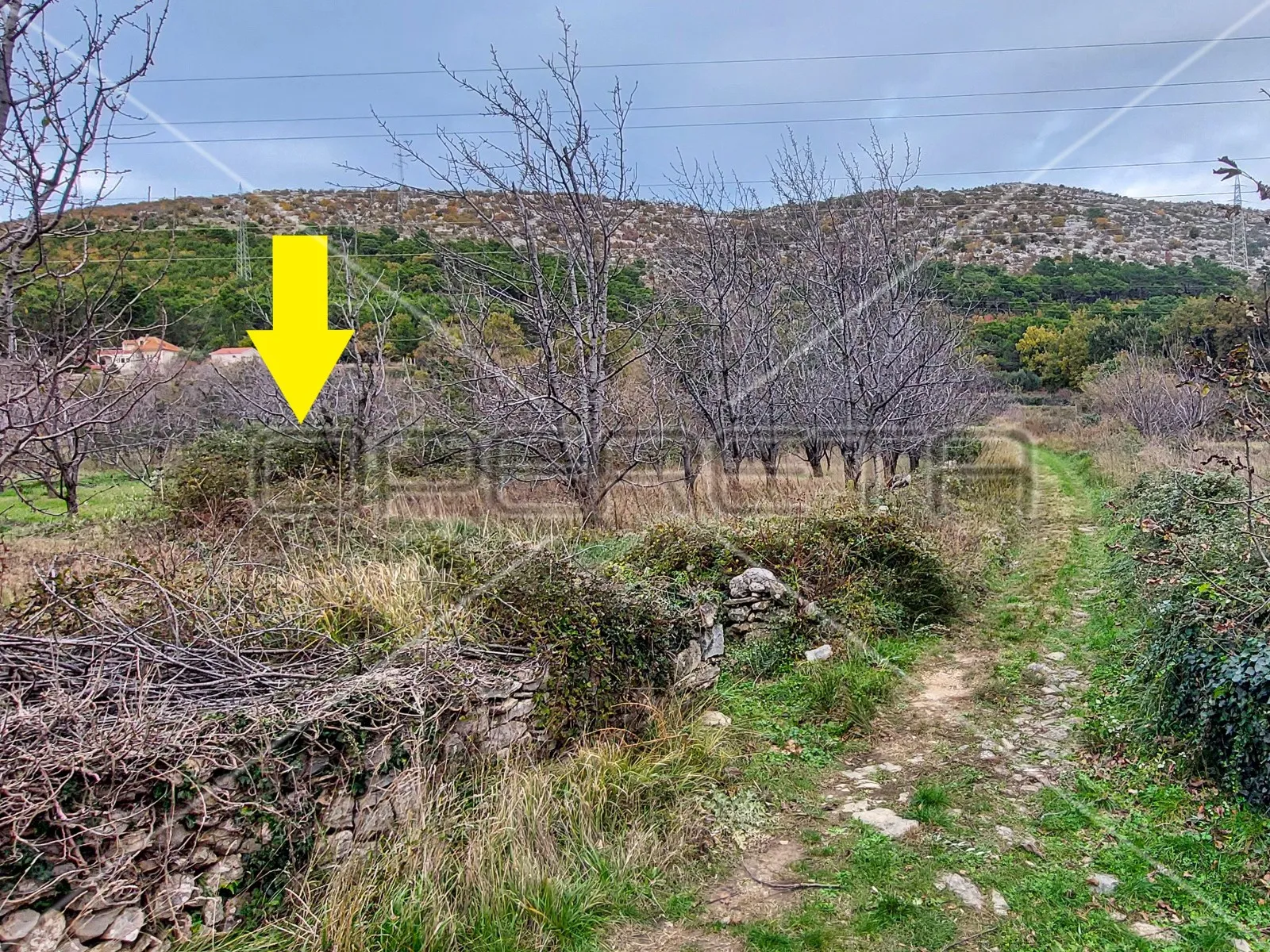 tugare, naklice, poljoprivredno zemljište, 332 m2 - slika 4