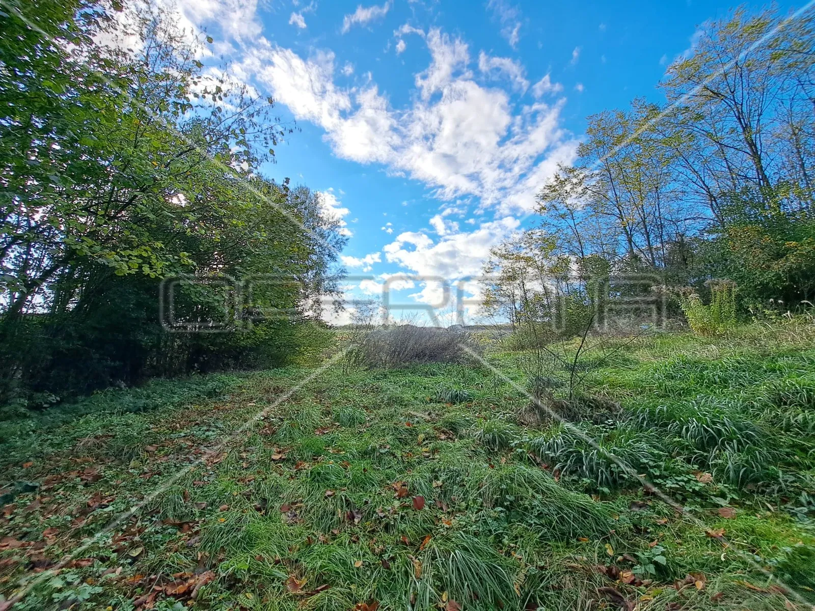hrebine , hrebine, 2.877,00 m2, 39.000,00 eur - slika 3