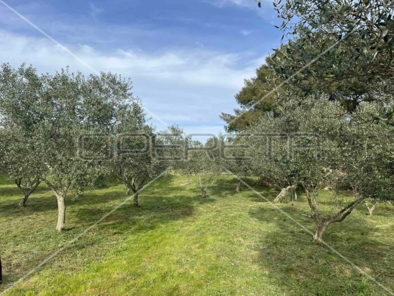 punta križa, mali lošinj, 4.260,00 m2, 249.000,00 eur - slika 2