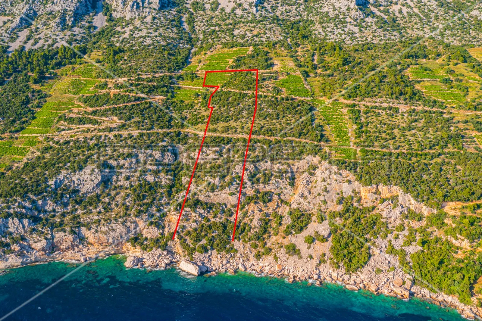 zemljište, 12.257 m2, dingač, pelješac, 40 eur/m2 - slika 2