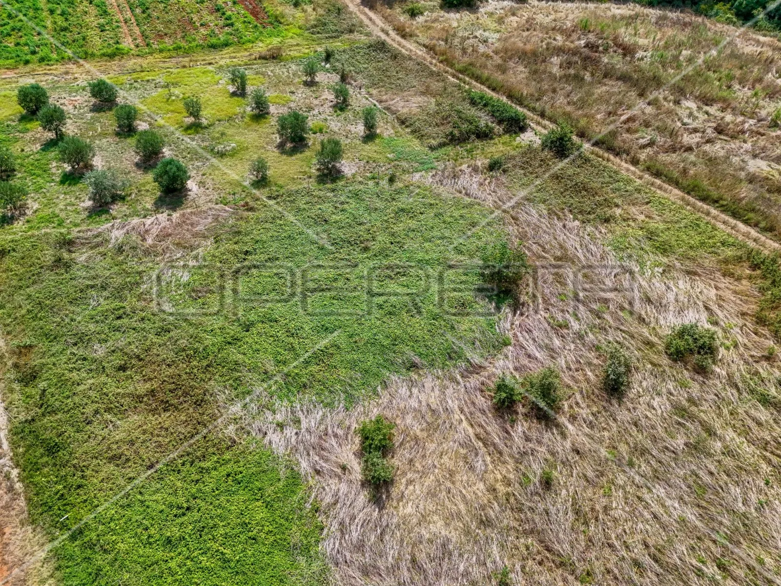 šišan poljoprivredno zemljište, 1.250 m2, na rubu urbanizacije - slika 4