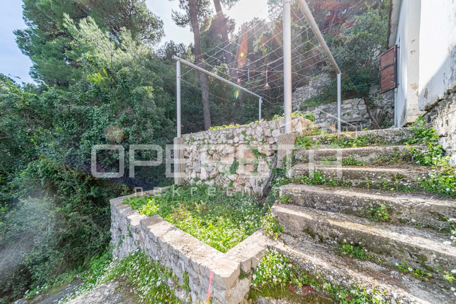otok mljet – kuća uz more i zemljište za uzgoj mediteranskih kultura - slika 20