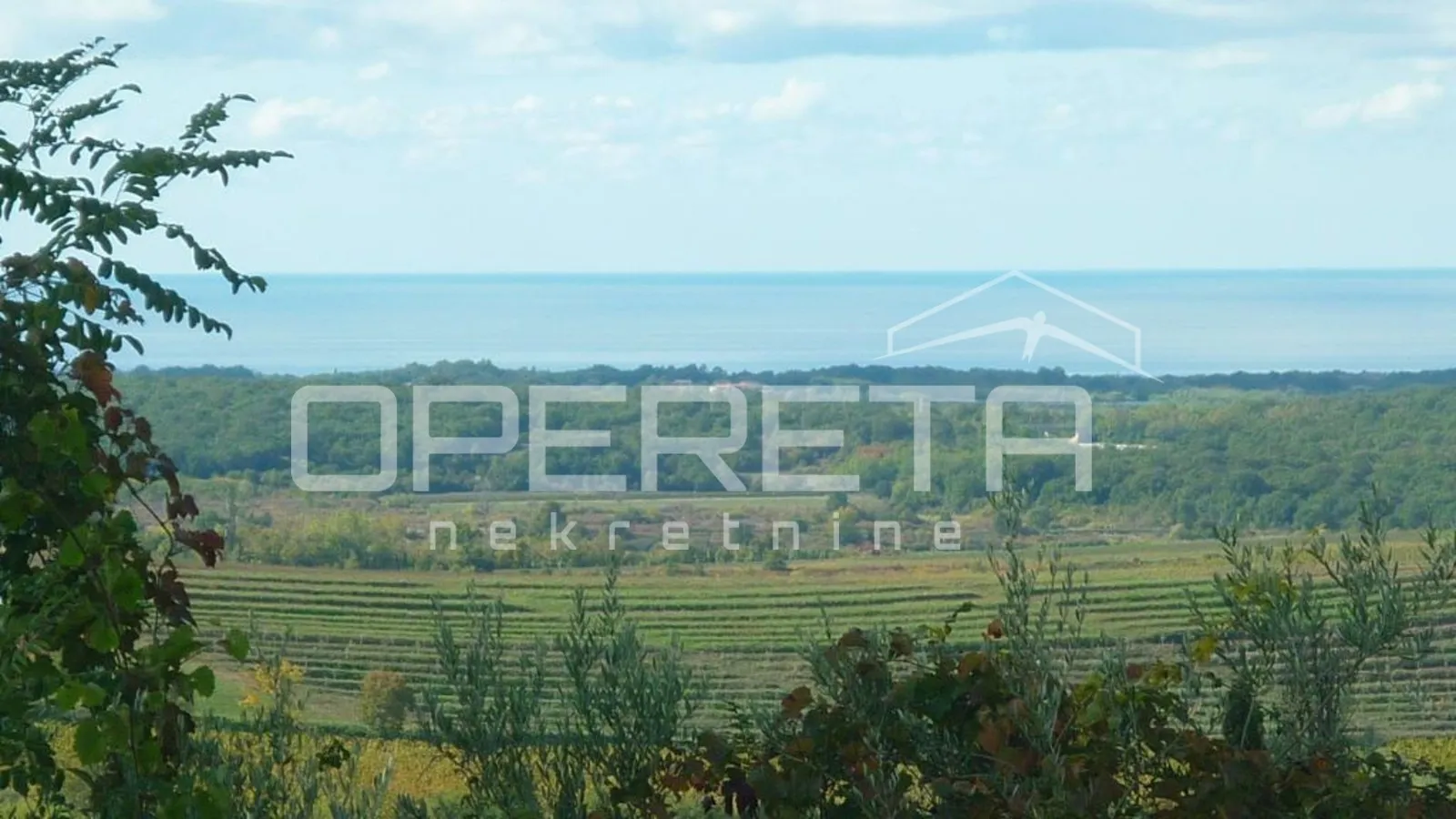 istra, buje – atraktivno zemljište s panoramskim pogledom na more - slika 3
