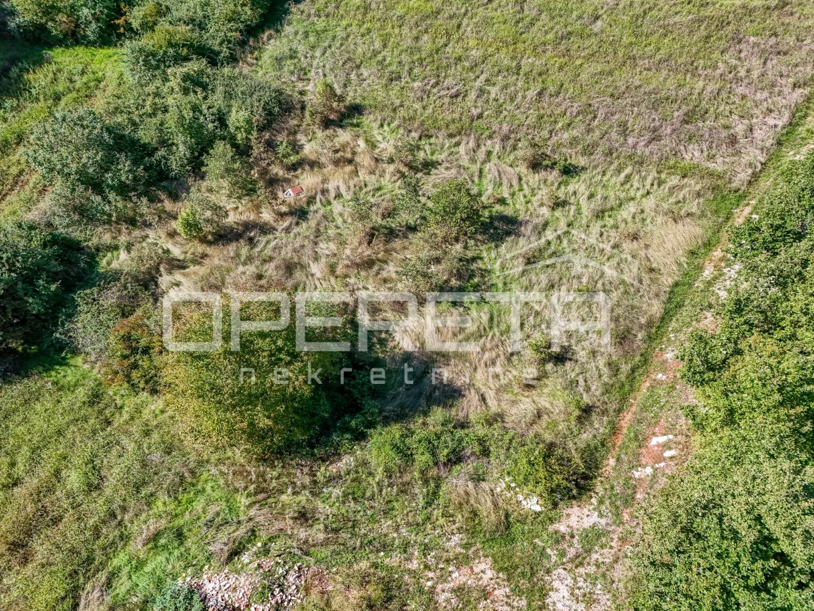 istra, sveti lovreč okolica- građevinsko zemljište u kombinaciji s poljoprivredn - slika 10