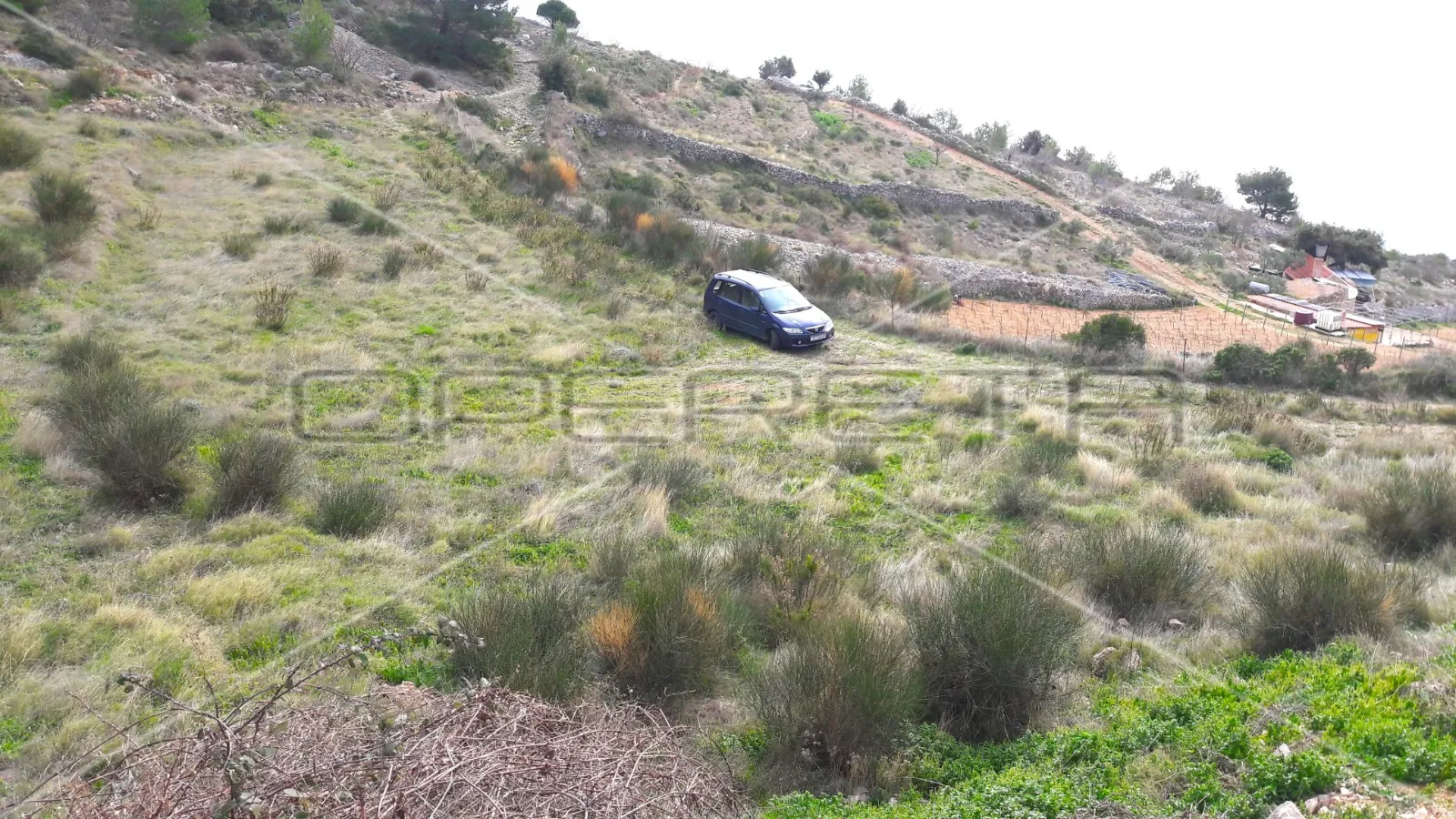 poljoprivredno zemljište s pogledom na more 27980 m2, bol, otok brač - slika 5